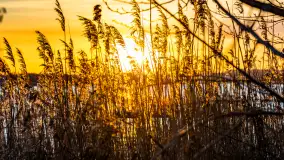 Zachód słońca nad jeziorem Tajty, styczeń 2025 r. - zdjęcie 15