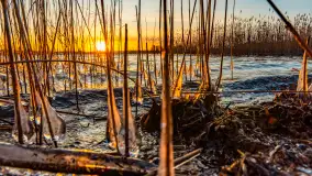 Zachód słońca nad jeziorem Tajty, styczeń 2025 r. - zdjęcie 1