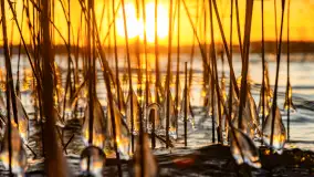 Zachód słońca nad jeziorem Tajty, styczeń 2025 r. - zdjęcie 33