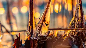 Zachód słońca nad jeziorem Tajty, styczeń 2025 r. - zdjęcie 10