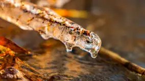 Zachód słońca nad jeziorem Tajty, styczeń 2025 r. - zdjęcie 6