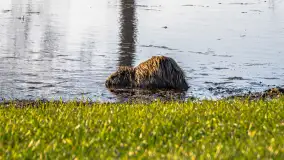 Mix mazurskich ujęć z szuflady, 2024 cz. III - zdjęcie 23