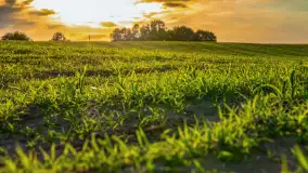 Mix mazurskich ujęć z szuflady, 2024 cz. III - zdjęcie 3