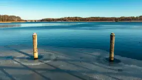 Łabędzi Ostrów w Pięknej Górze w zimowej aurze, styczeń 2025 r. - zdjęcie 22