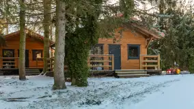 Łabędzi Ostrów w Pięknej Górze w zimowej aurze, styczeń 2025 r. - zdjęcie 17