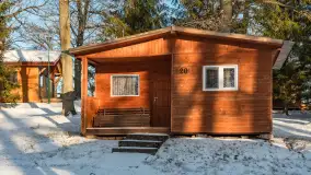 Łabędzi Ostrów w Pięknej Górze w zimowej aurze, styczeń 2025 r. - zdjęcie 37