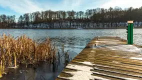 Łabędzi Ostrów w Pięknej Górze w zimowej aurze, styczeń 2025 r. - zdjęcie 31