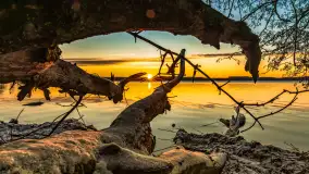 Wschód słońca nad jeziorem Święcajty w Kolonii Rybackiej - zdjęcie 2