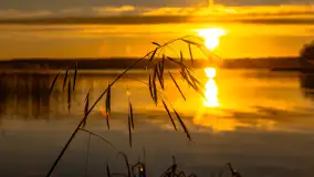 Wschód słońca nad jeziorem Święcajty w Kolonii Rybackiej - zdjęcie 20
