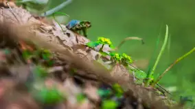 Przedwiośnie w Puszczy Boreckiej, kwiecień 2021 r. - zdjęcie 15