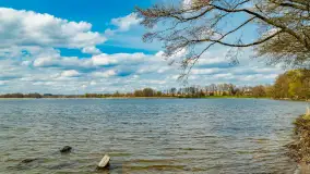 Jezioro Gawlik na początku później wiosny, maj 2021 r. - zdjęcie 9