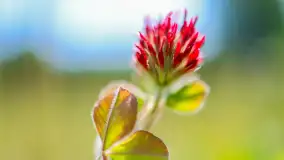 Wiosna w Kętrzynie, maj 2021 r. - zdjęcie 17