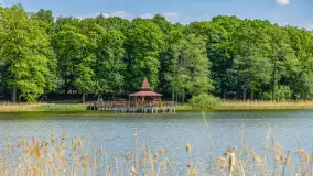 Wiosna w Kętrzynie, maj 2021 r. - zdjęcie 9