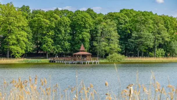 Wiosna w Kętrzynie, maj 2021 r. - zdjęcie 9