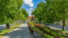 Wiosna w Kętrzynie, maj 2021 r. - zdjęcie 15