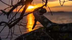 Zachód słońca nad jeziorem Dargin, styczeń 2025 r. - zdjęcie 27