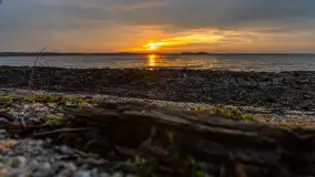 Zachód słońca nad jeziorem Dargin, styczeń 2025 r. - zdjęcie 21