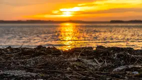 Zachód słońca nad jeziorem Dargin, styczeń 2025 r. - zdjęcie 5