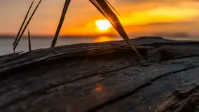 Zachód słońca nad jeziorem Dargin, styczeń 2025 r. - zdjęcie 15