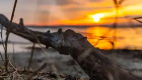 Zachód słońca nad jeziorem Dargin, styczeń 2025 r. - zdjęcie 18