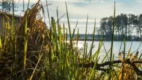 Kanał Kula i mazurska zima... bez śniegu, styczeń 2025 r. - zdjęcie 32