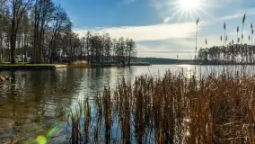 Kanał Kula i mazurska zima... bez śniegu, styczeń 2025 r. - zdjęcie 12