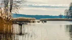 Kanał Kula i mazurska zima... bez śniegu, styczeń 2025 r. - zdjęcie 30