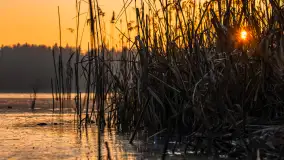 Zachód słońca nad jeziorem Okrągłym, luty 2025 r. - zdjęcie 17
