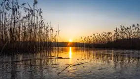 Zachód słońca nad jeziorem Okrągłym, luty 2025 r. - zdjęcie 1