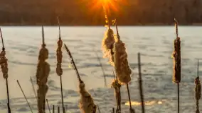 Zachód słońca nad jeziorem Skarż Wielki, luty 2025 r. - zdjęcie 15