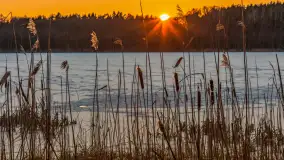 Zachód słońca nad jeziorem Skarż Wielki, luty 2025 r. - zdjęcie 11
