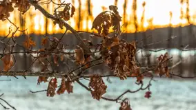 Zachód słońca nad jeziorem Skarż Wielki, luty 2025 r. - zdjęcie 14