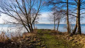 Popołudnie nad jeziorem Kisajno przy Pierkunowie, styczeń 2025 r. - zdjęcie 11