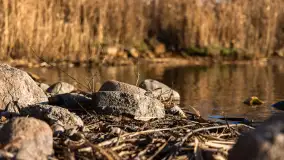 Popołudnie nad jeziorem Kisajno przy Pierkunowie, styczeń 2025 r. - zdjęcie 19