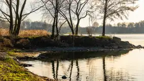 Popołudnie nad jeziorem Kisajno przy Pierkunowie, styczeń 2025 r. - zdjęcie 12