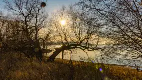 Popołudnie nad jeziorem Kisajno przy Pierkunowie, styczeń 2025 r. - zdjęcie 22