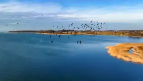 Popołudnie nad jeziorem Kisajno przy Pierkunowie, styczeń 2025 r. - zdjęcie 23