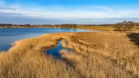 Popołudnie nad jeziorem Kisajno przy Pierkunowie, styczeń 2025 r. - zdjęcie 31