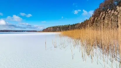 Zatoka Mrówki i jezioro Ryńkie w zimowej odsłonie, luty 2024 r.