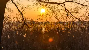 Zachód słońca nad jeziorem Tałty, luty 2025 r. - zdjęcie 13
