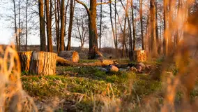 Zachód słońca nad jeziorem Tałty, luty 2025 r. - zdjęcie 5