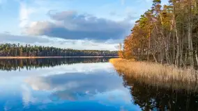 Pole namiotowe Flosek nad jeziorem Bełdany, luty 2025 r. - zdjęcie 3