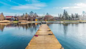 Tło dla mew w okowach zimy... ale bez śniegu, styczeń 2025 r. - zdjęcie 3