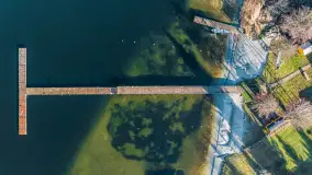 Tło dla mew w okowach zimy... ale bez śniegu, styczeń 2025 r. - zdjęcie 24