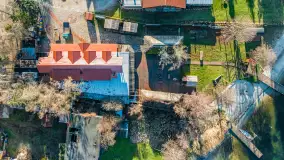 Tło dla mew w okowach zimy... ale bez śniegu, styczeń 2025 r. - zdjęcie 11