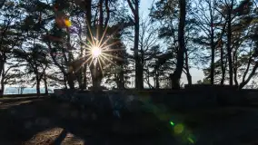 Cmentarz wojenny Jagerhohe zimą... ale bez śniegu, luty 2025 r. - zdjęcie 6