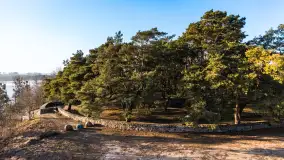 Cmentarz wojenny Jagerhohe zimą... ale bez śniegu, luty 2025 r. - zdjęcie 1