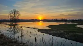 Zachody i wschody słońca na ujęciach z telefonu, sezon 2024 r. - zdjęcie 38