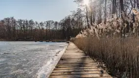 Przedwiośnie na przystani Leśny Zakątek, jezioro Mamry, marzec 2025 r. - zdjęcie 2