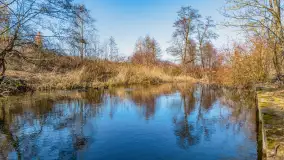 Przedwiośnie w Węgorzewie nad kanałem Młyńskim, marzec 2025 r. - zdjęcie 27